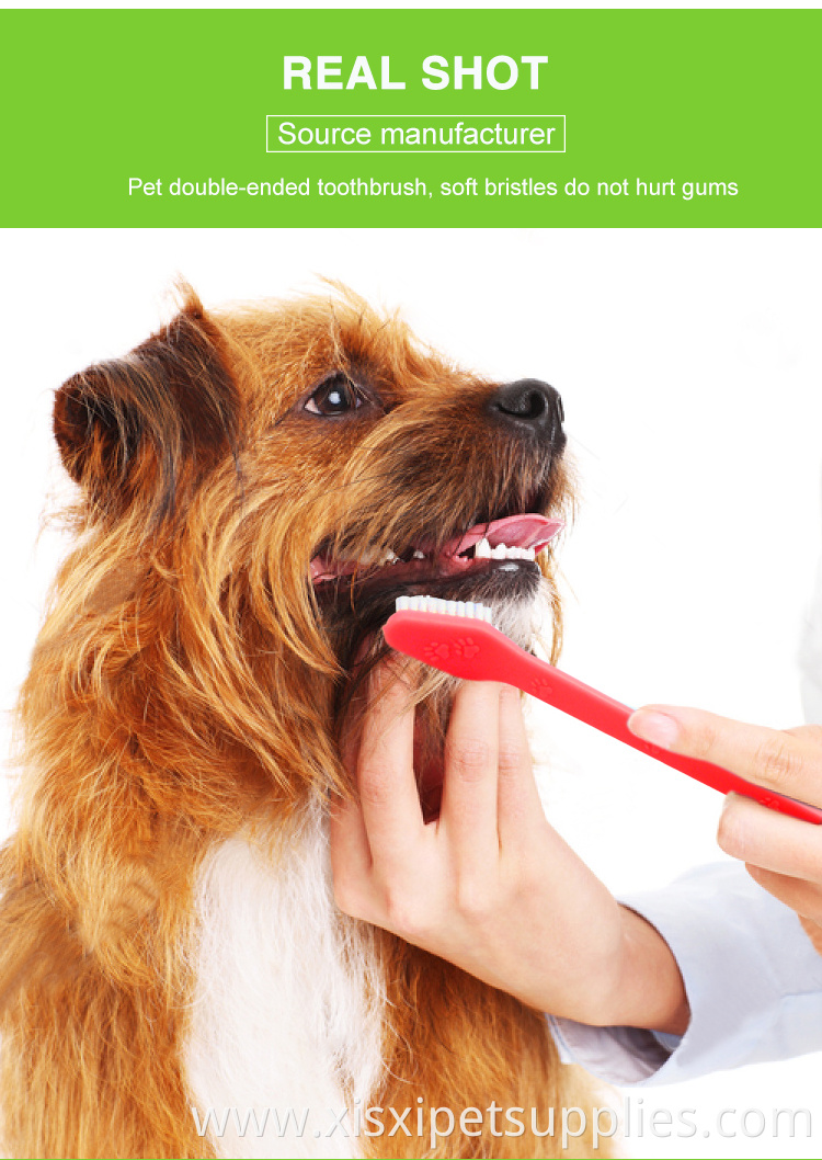 Factory Wholesale LOW MOQ Cheap Big Small Double Heads Pet Cat Dog Toothbrush For Dog
